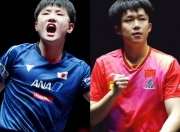 雷火电竞合作-包含中国乒乓球队强势比利时乒乓球队，张本智和爆发神勇的词条