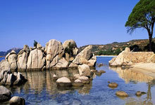 雷火电竞网站-唯一性交汇，尼克斯速胜灰熊如何点燃拉文2026世界杯的统治传奇