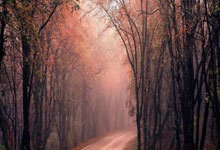 雷火电竞平台APP-亚平宁月光下的叹息：当蓝色浪漫遇冷酷高卢铁蹄