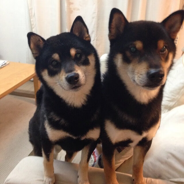 2026世界杯H组史诗之战，匈牙利碾压意大利，穆西亚拉独舞闪耀，逆转翻盘书写唯一传奇